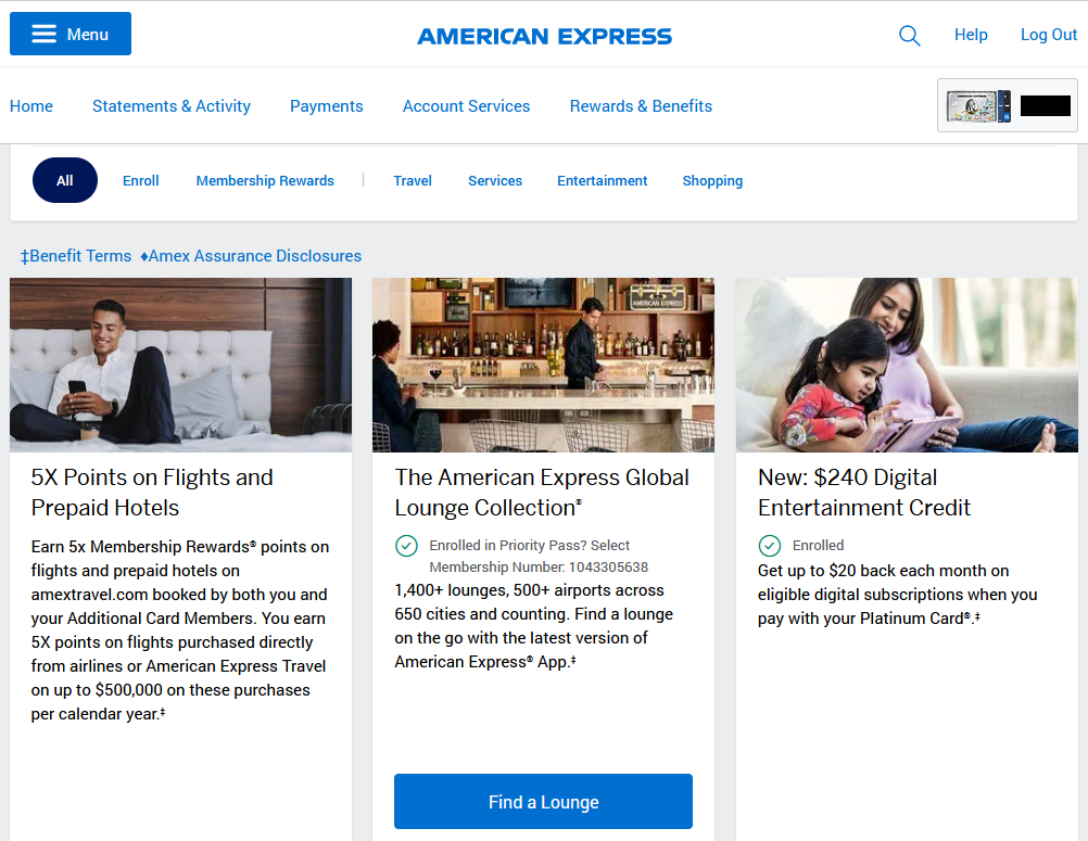 Amex Platinum Benefits Section