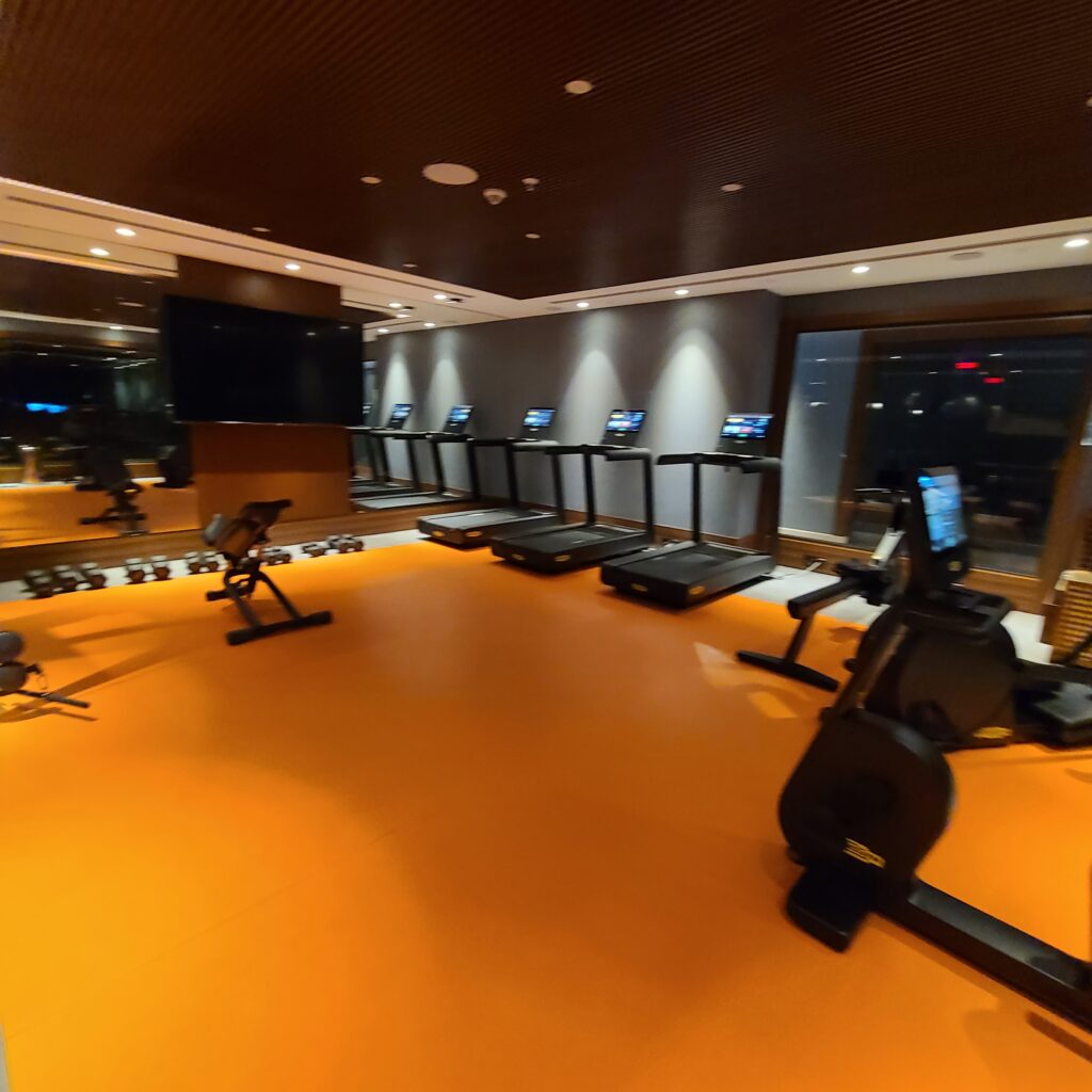 Izmir Marriott Gym