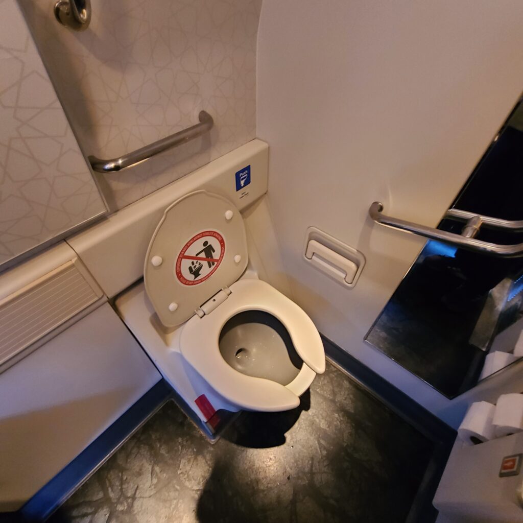 Turkish Airlines Business Class Lavatory Toilet
