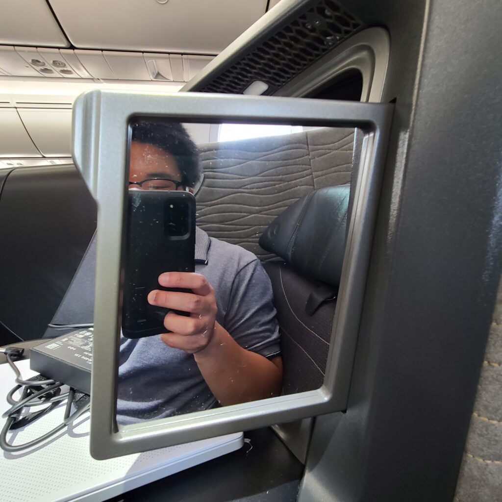 Turkish Airlines Business Class 787 Mirror