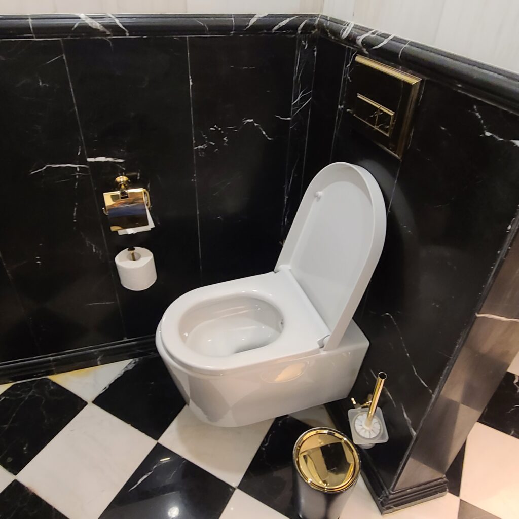 Sheraton Bishkek Toilet