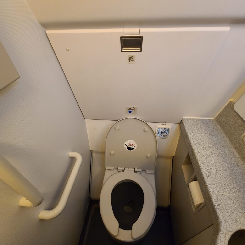 Uzbekistan Airways Airbus A320 Lavatory