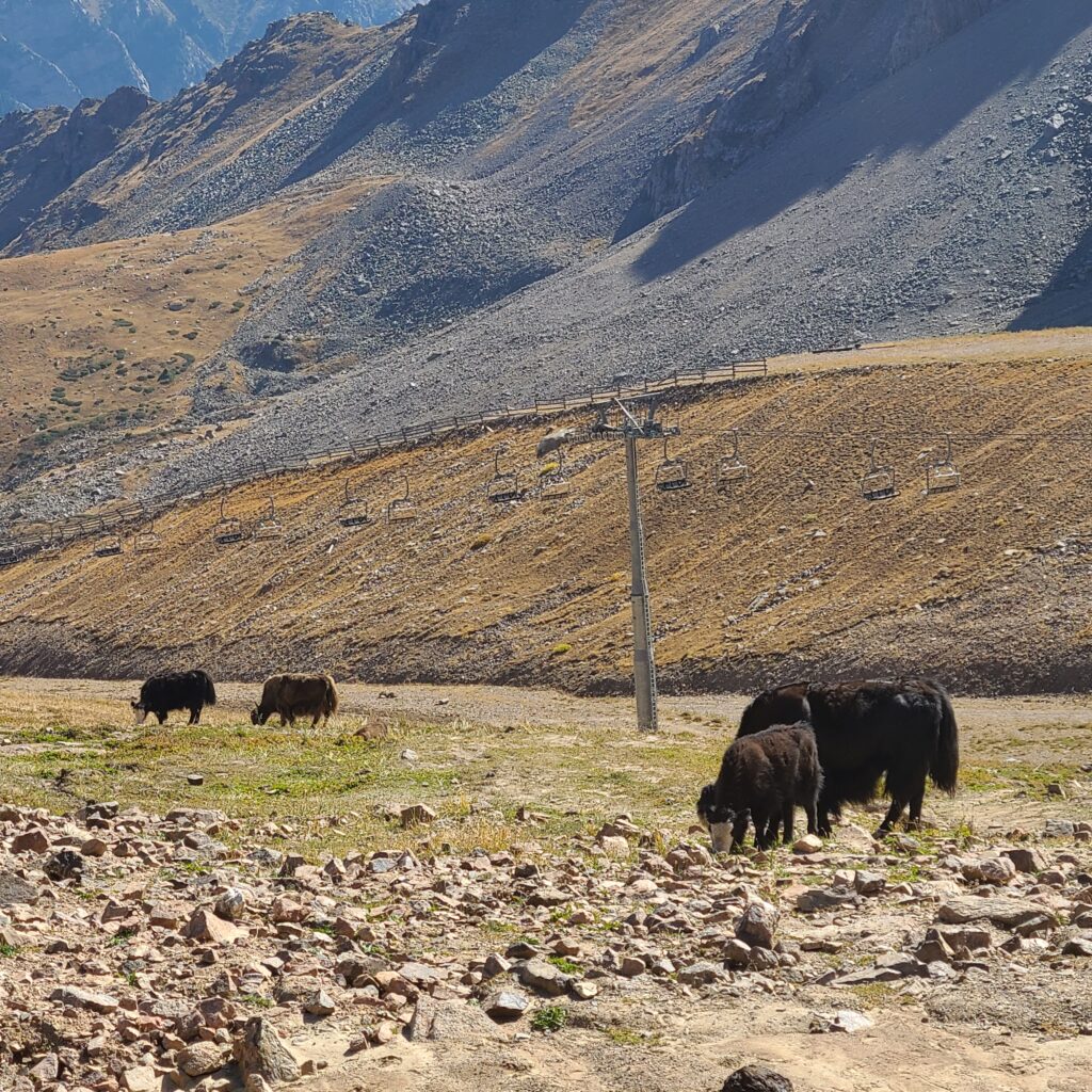 Tenir Eco Hotel Yaks