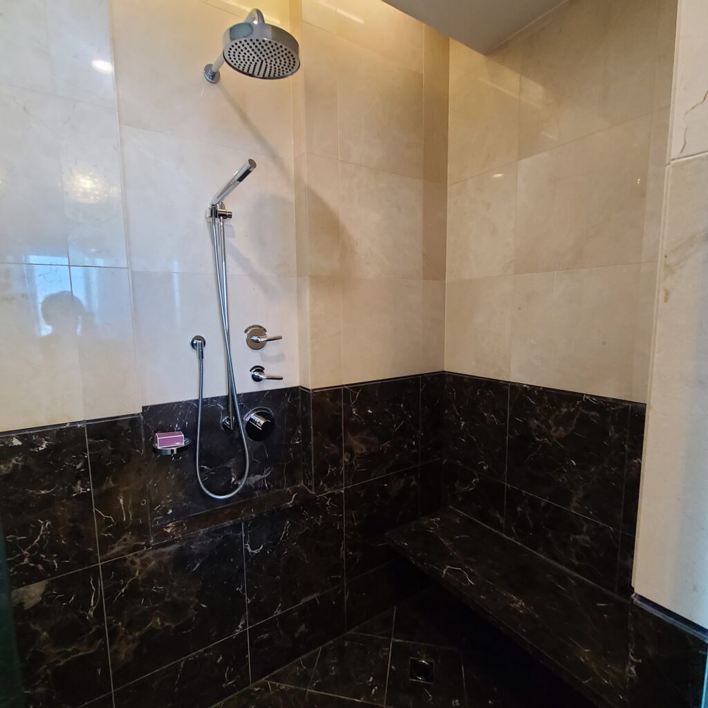 The Ritz-Carlton, Almaty Junior Suite Shower