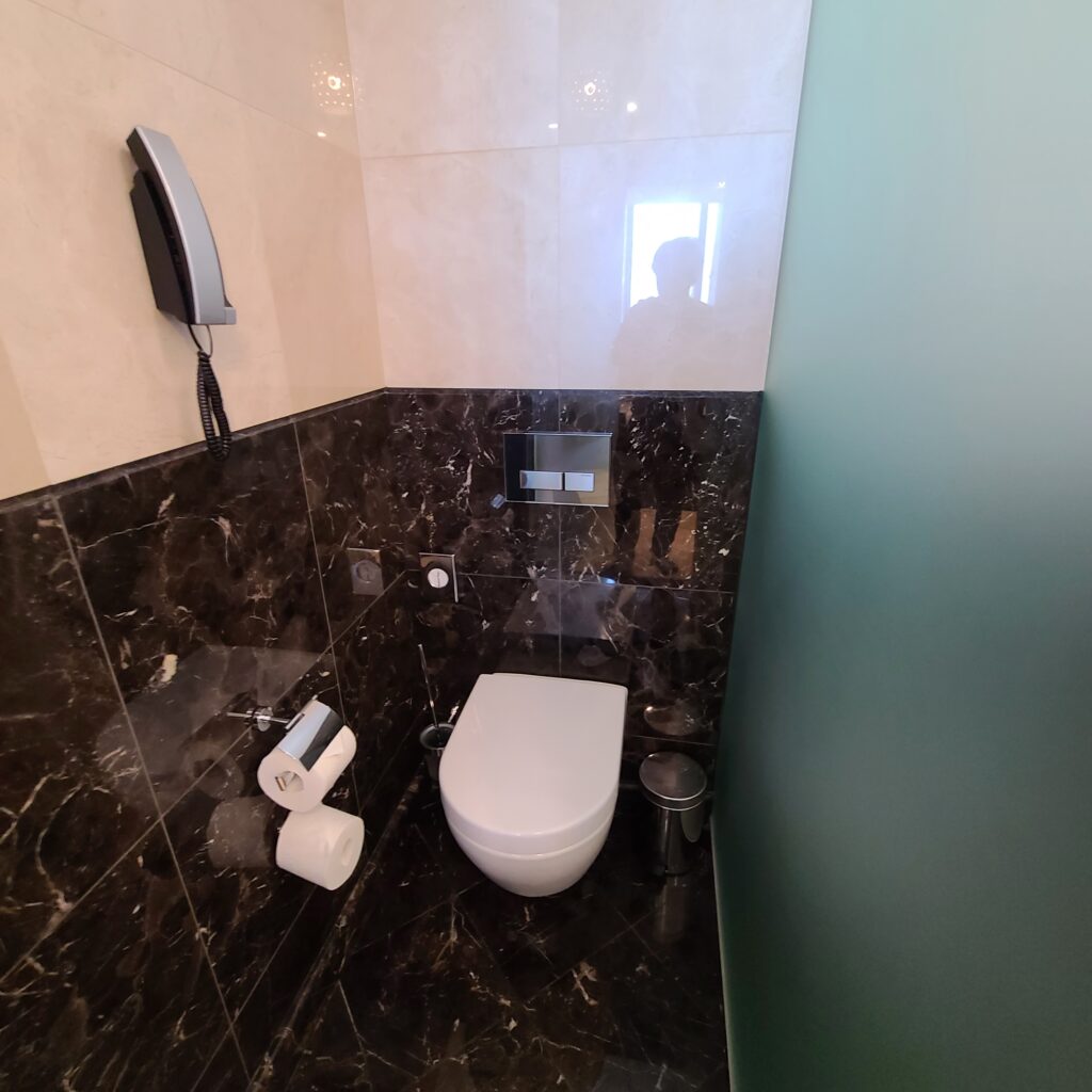 The Ritz-Carlton, Almaty Toilet