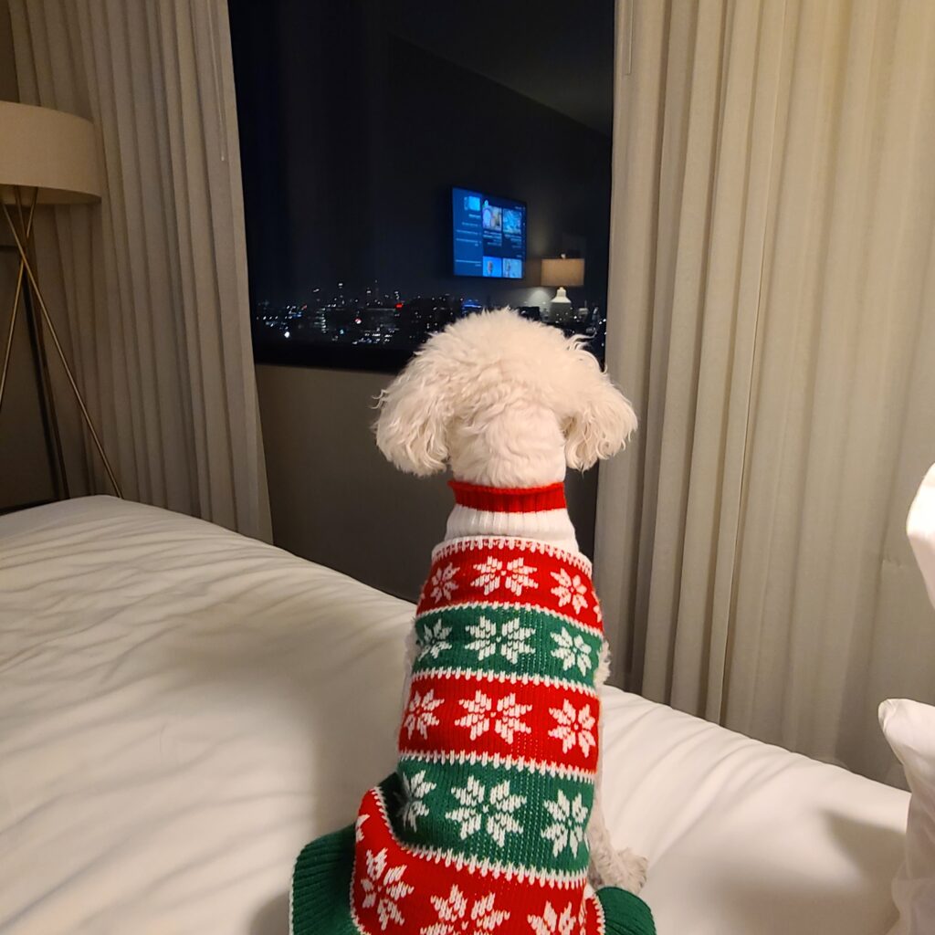 Kimpton Everly Hotel is pet-friendly.