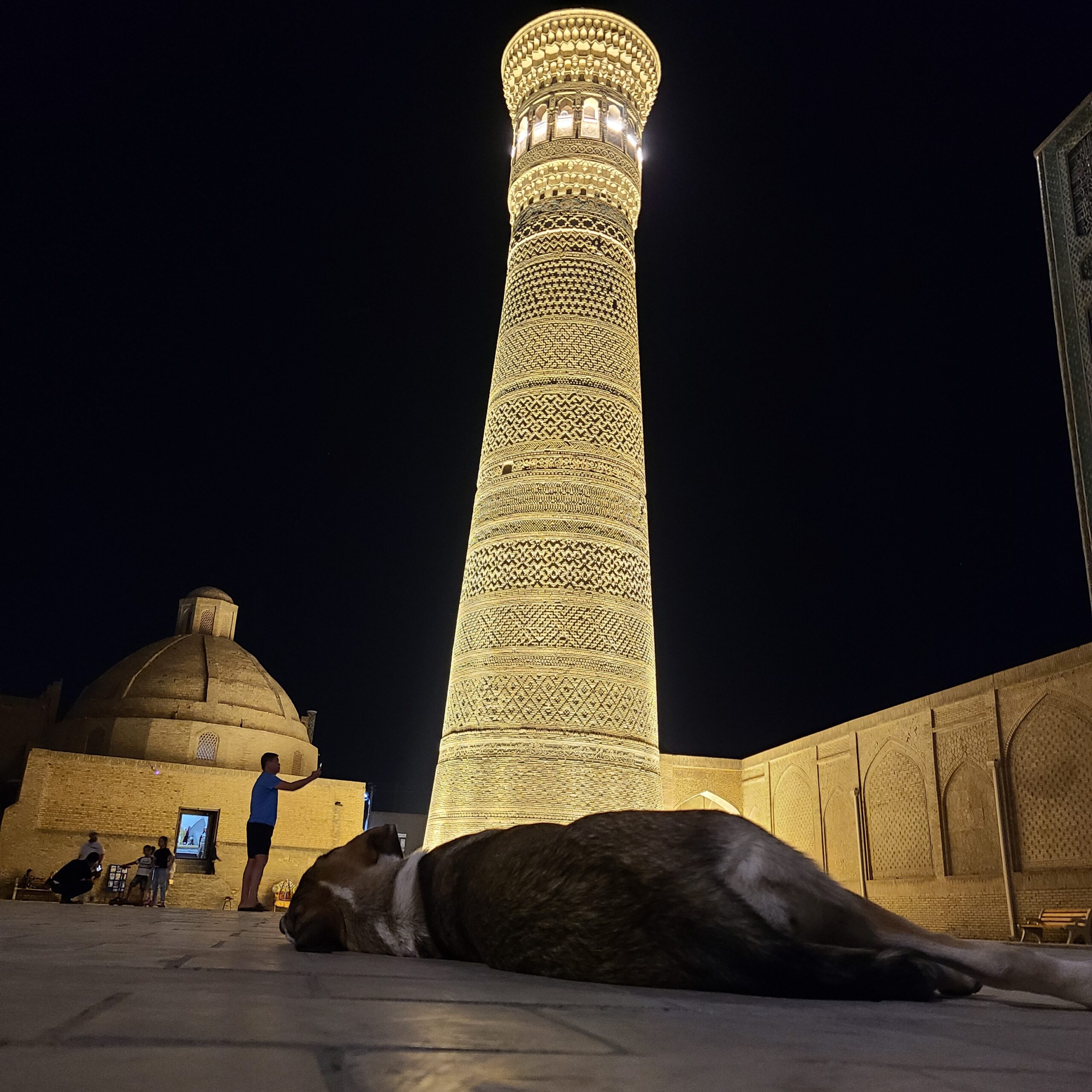 Dog relaxing in front of Burana Tower