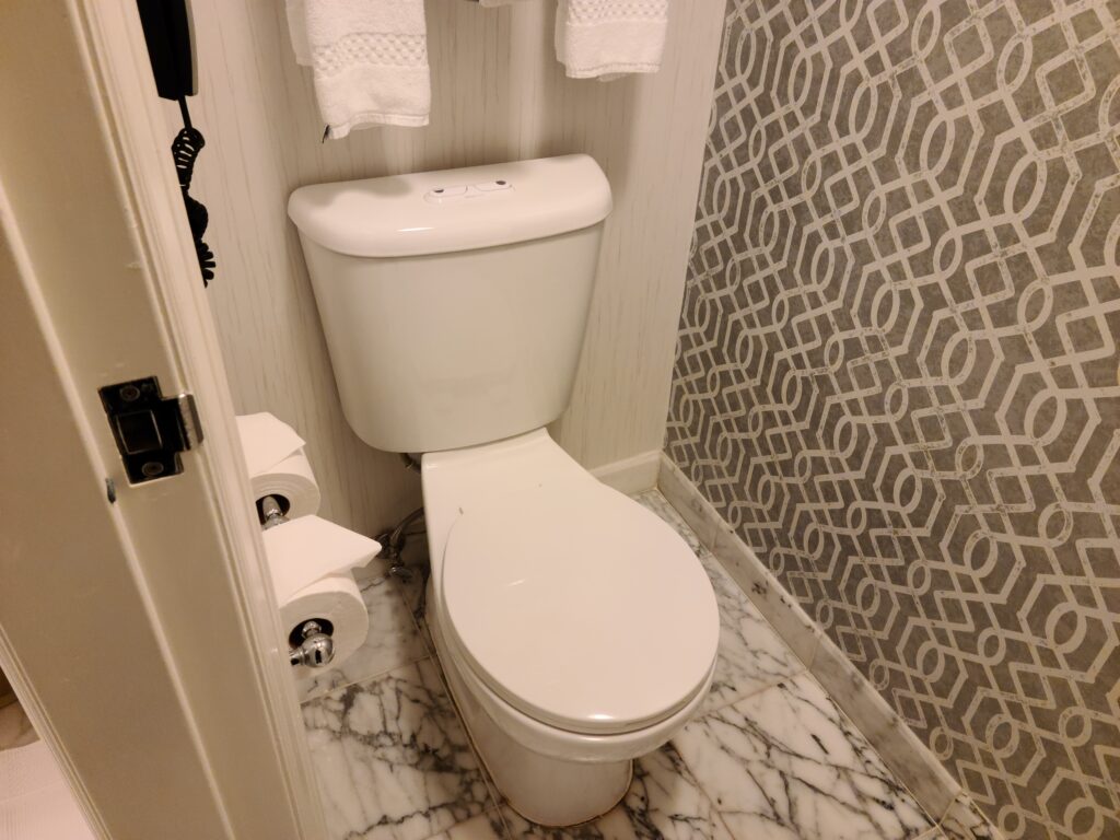 The Ritz-Carlton, San Francisco Bathroom Toilet