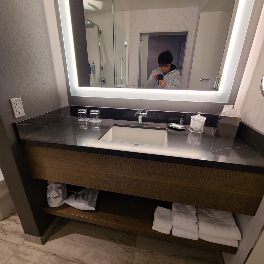 The Westin Palo Alto Vanity Sink