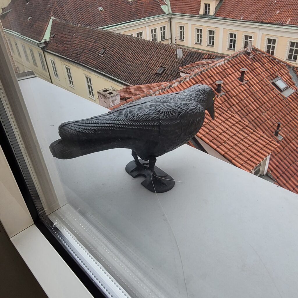 Prague Marriott Hotel Fake Crow