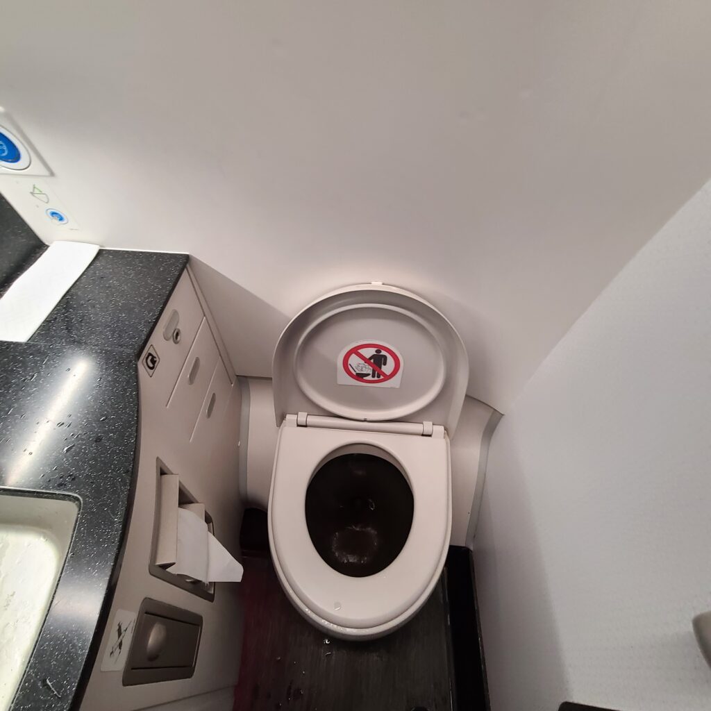 Qatar Airways Airbus A350-1000 Economy Class Lavatory Toilet