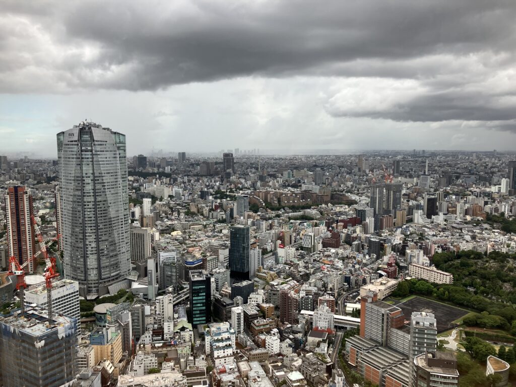 Ritz-Carlton Tokyo Deluxe Room Tokyo Skyline View (Cloudy)