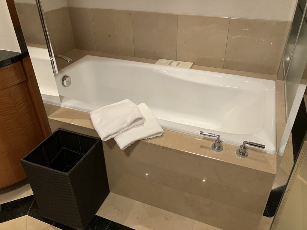 Ritz-Carlton Tokyo Deluxe Room Bathroom Tub