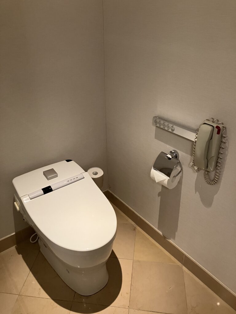 Ritz-Carlton Tokyo Deluxe Room Toilet Room