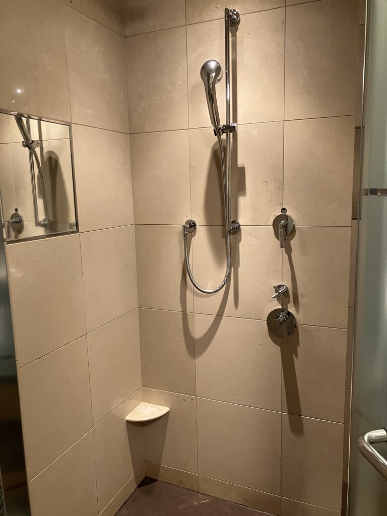 Ritz-Carlton Tokyo Deluxe Room Bathroom Shower