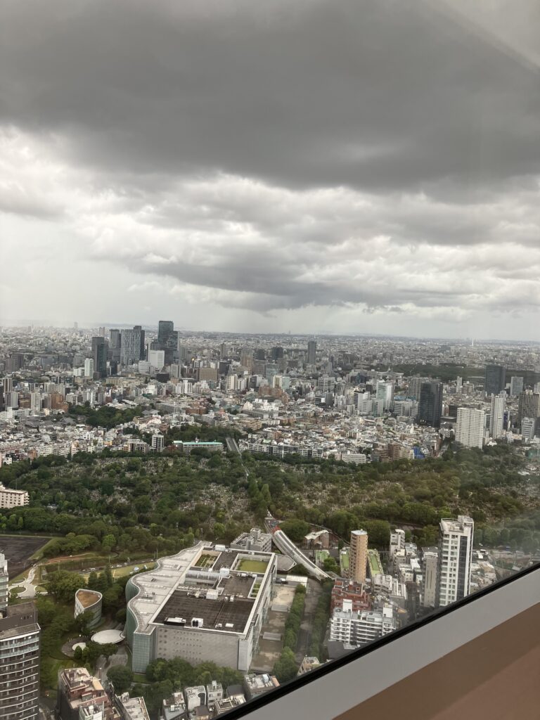 Ritz-Carlton Tokyo Deluxe Room Tokyo Skyline View (Cloudy)