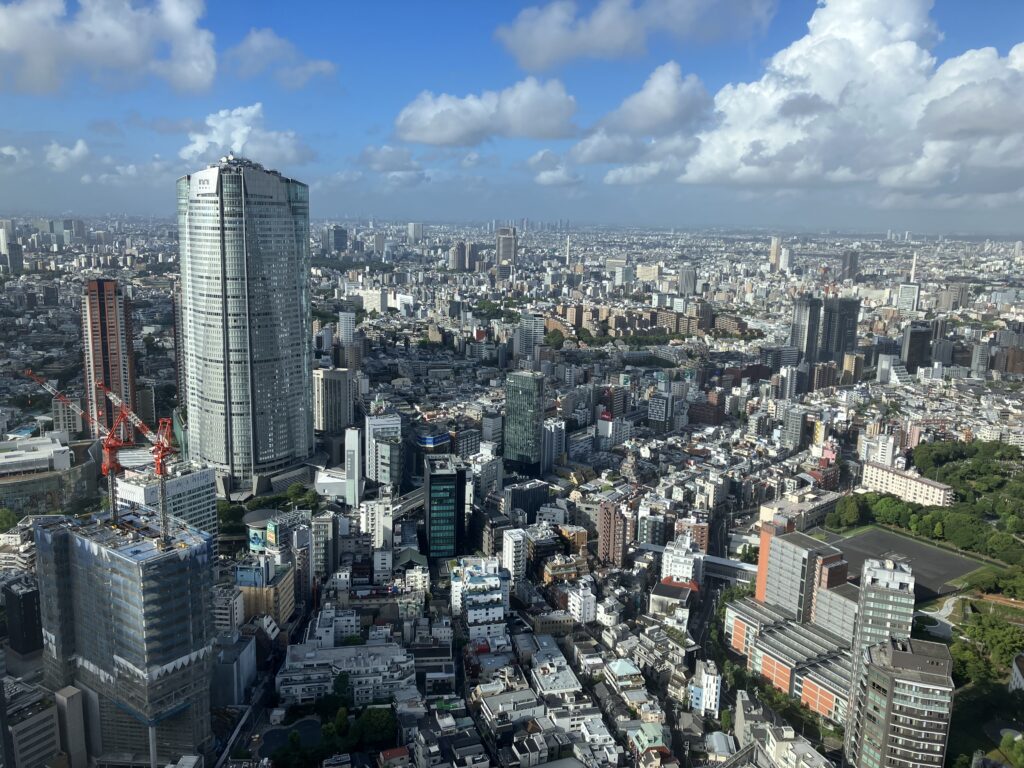 Ritz-Carlton Tokyo Deluxe Room Tokyo Skyline View (Clear Daylight)