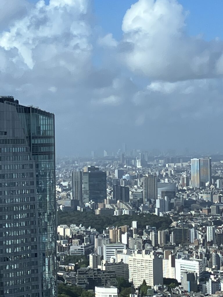 Ritz-Carlton Tokyo Deluxe Room Tokyo Skyline View- Yokohama View