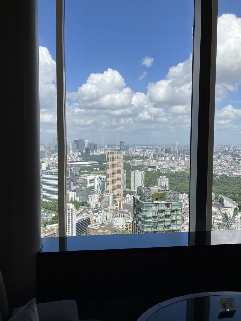 Ritz-Carlton Tokyo Bar Skyline View