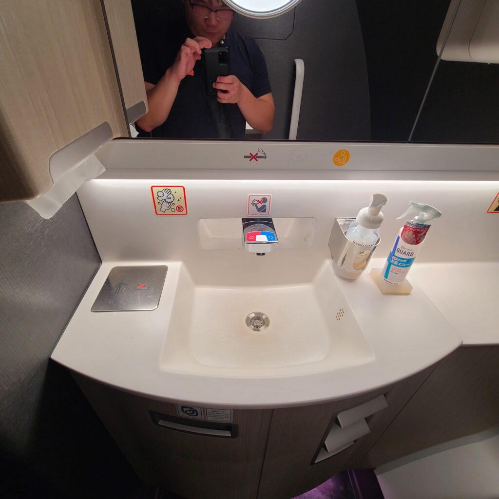JAL Airbus A350-900 Domestic First Class Lavatory Sink