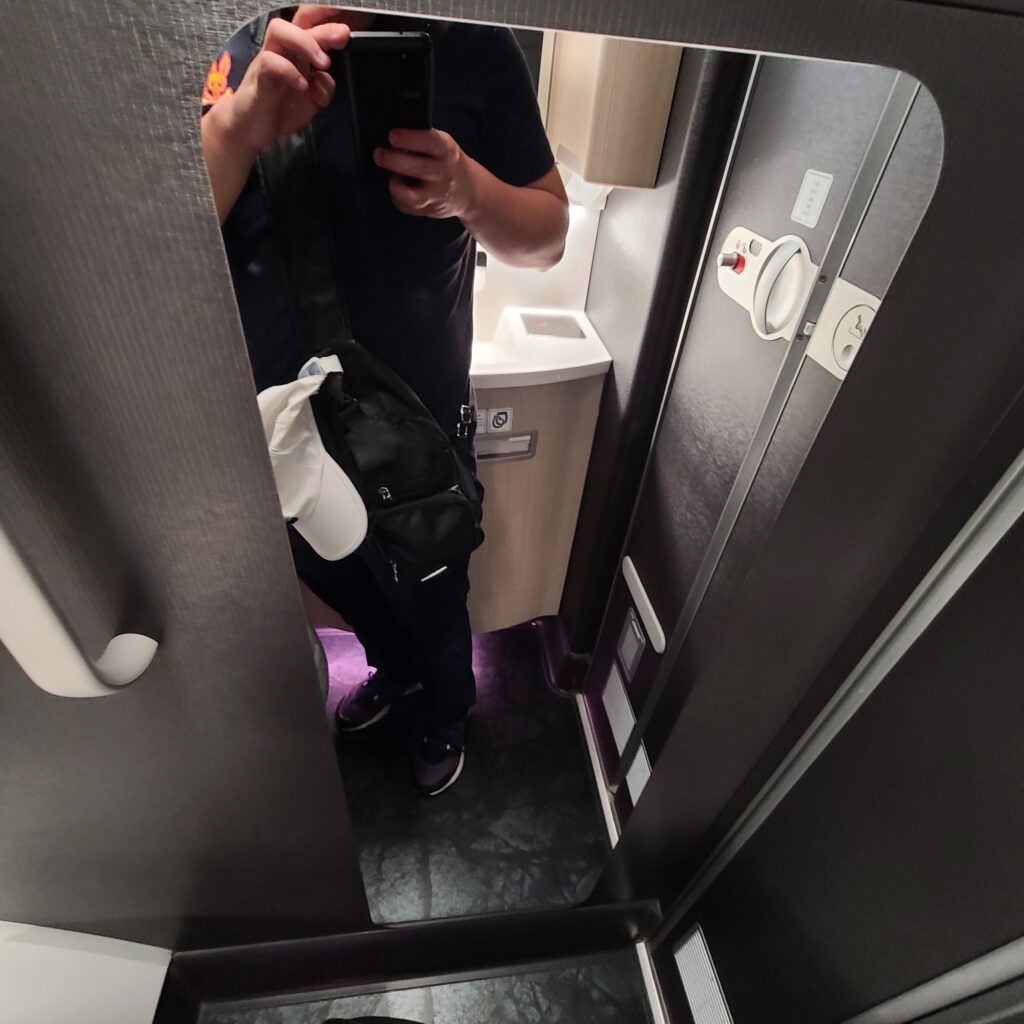 JAL Airbus A350-900 Domestic First Class Lavatory Mirror
