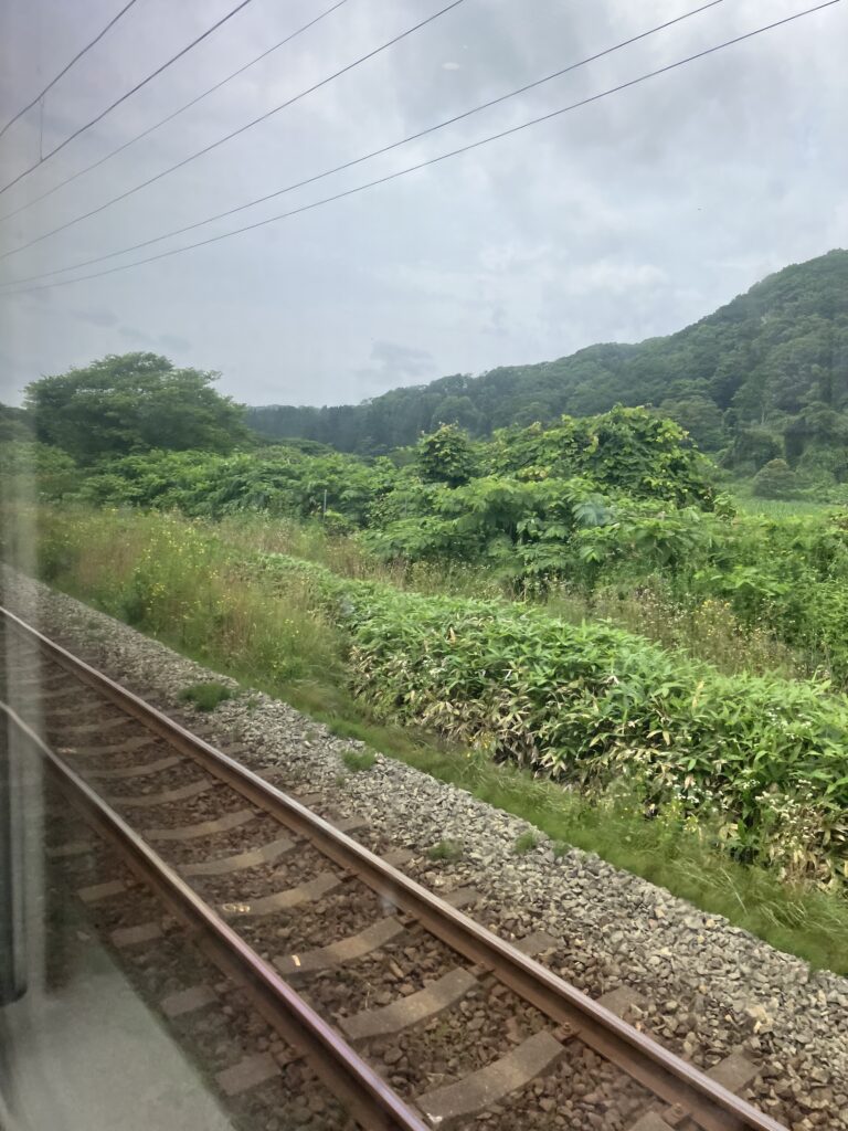 Hokuto Limited Express Train Ride View