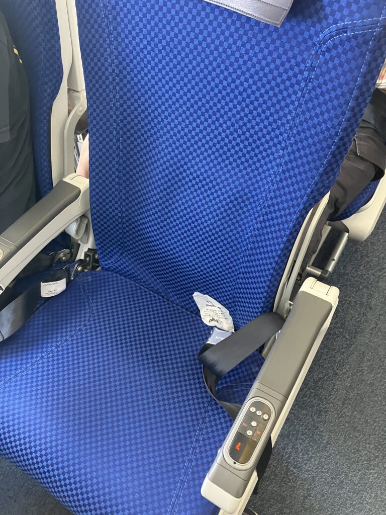 ANA Boeing 767-300 Economy Class Seat