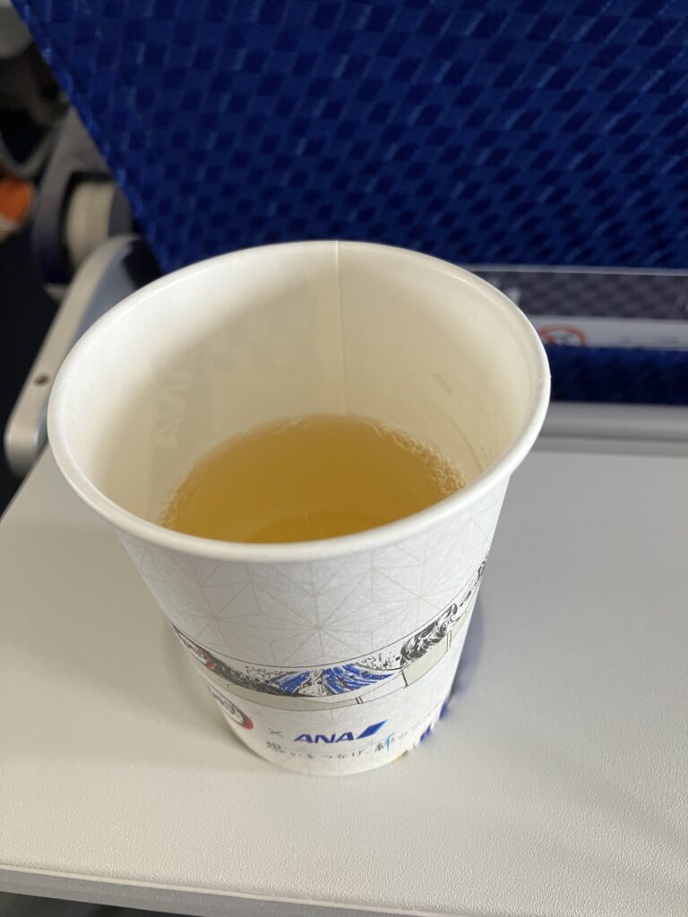 ANA Airbus A321 Economy Class Drink Service