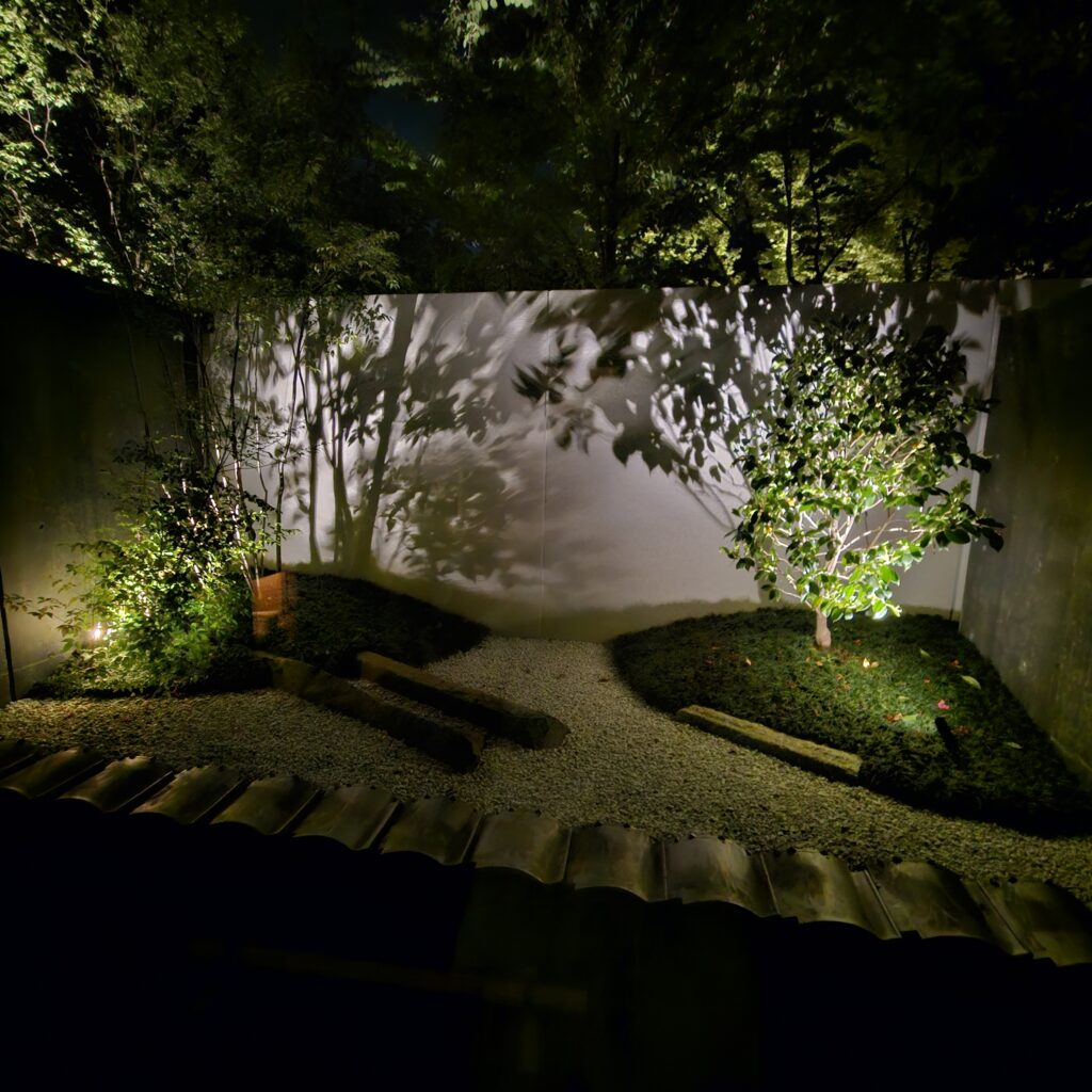 Garden Room View (Night)