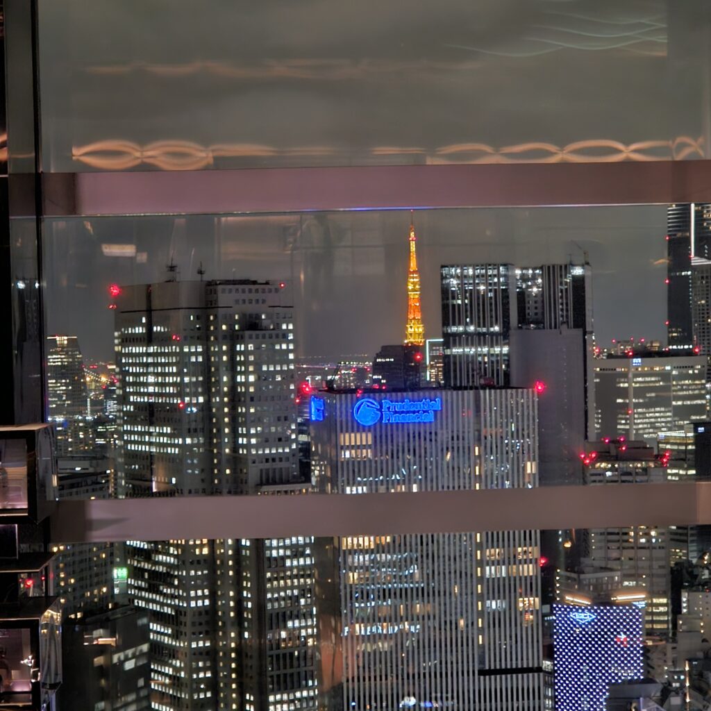 Sky Gallery Lounge Levita Tokyo Tower View