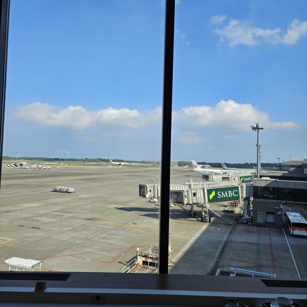 View from JAL Sakura Lounge
