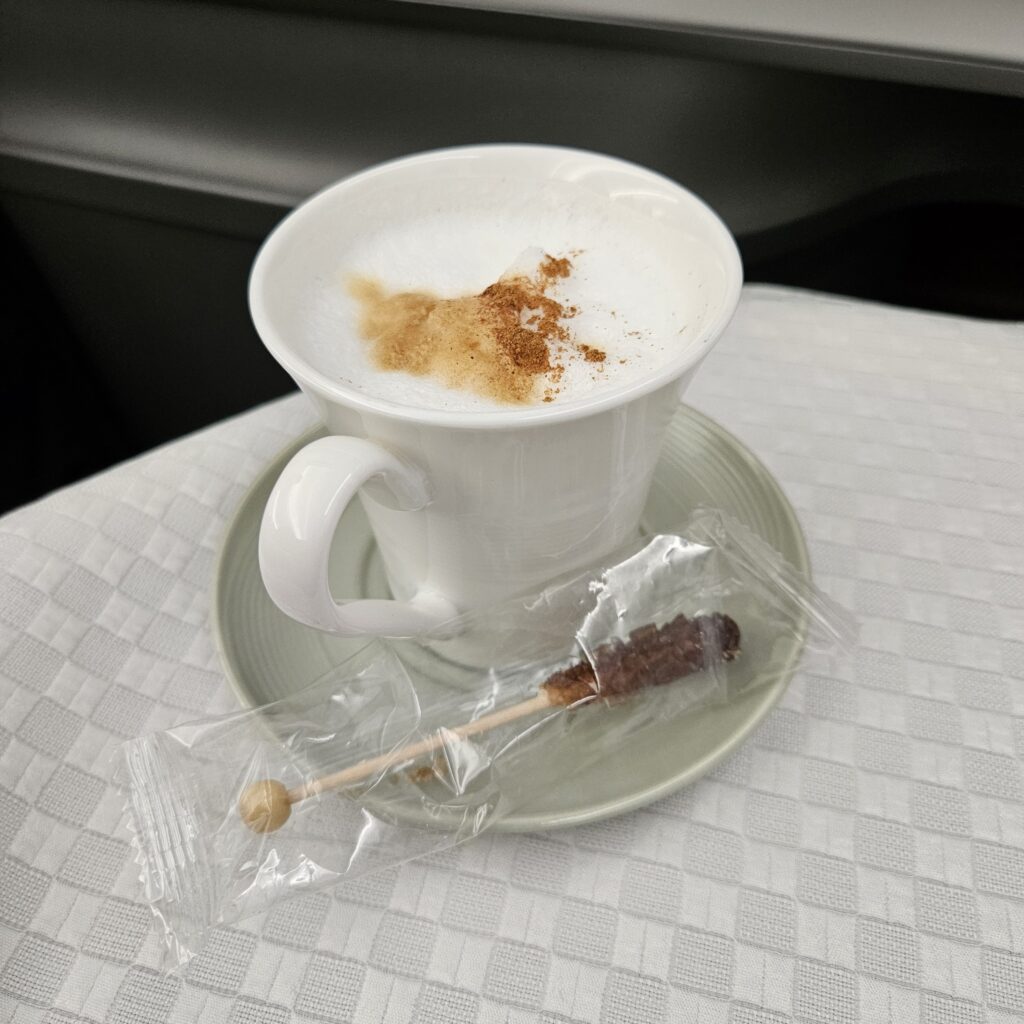EVA Air Boeing 787-10 Business Class Cappuccino
