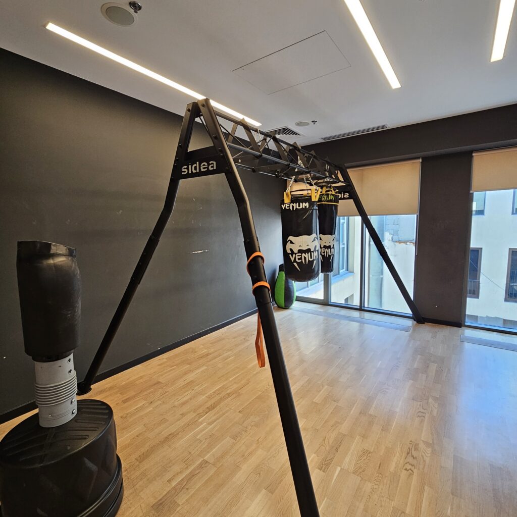 Holiday Inn Republic Square Yerevan Fitness Boxing Room