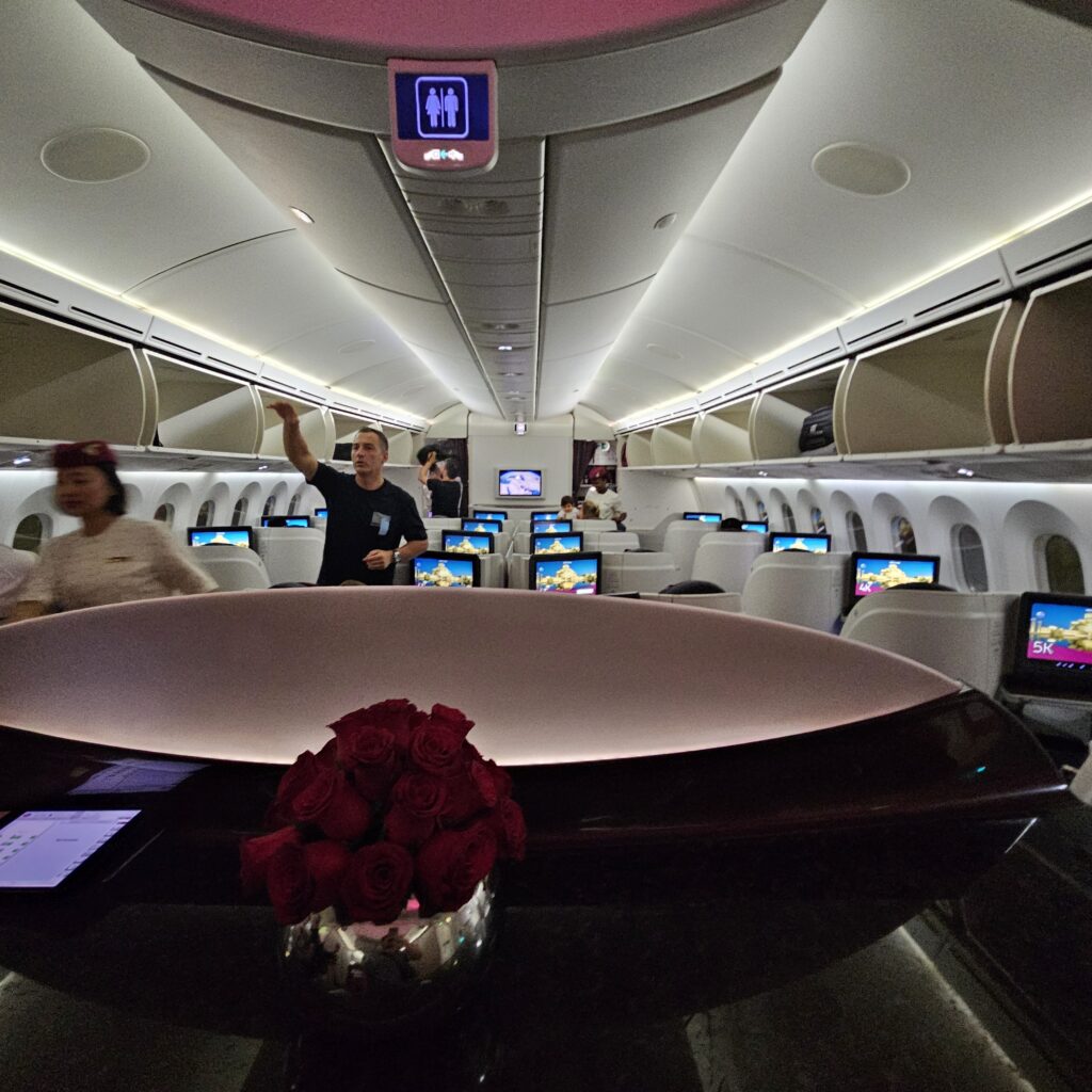 Qatar Airways Boeing 787-8 Business Class Divider