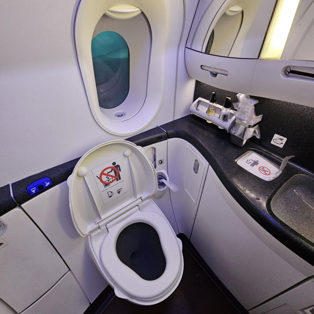 Qatar Airways Boeing 787-8 Business Class Lavatory