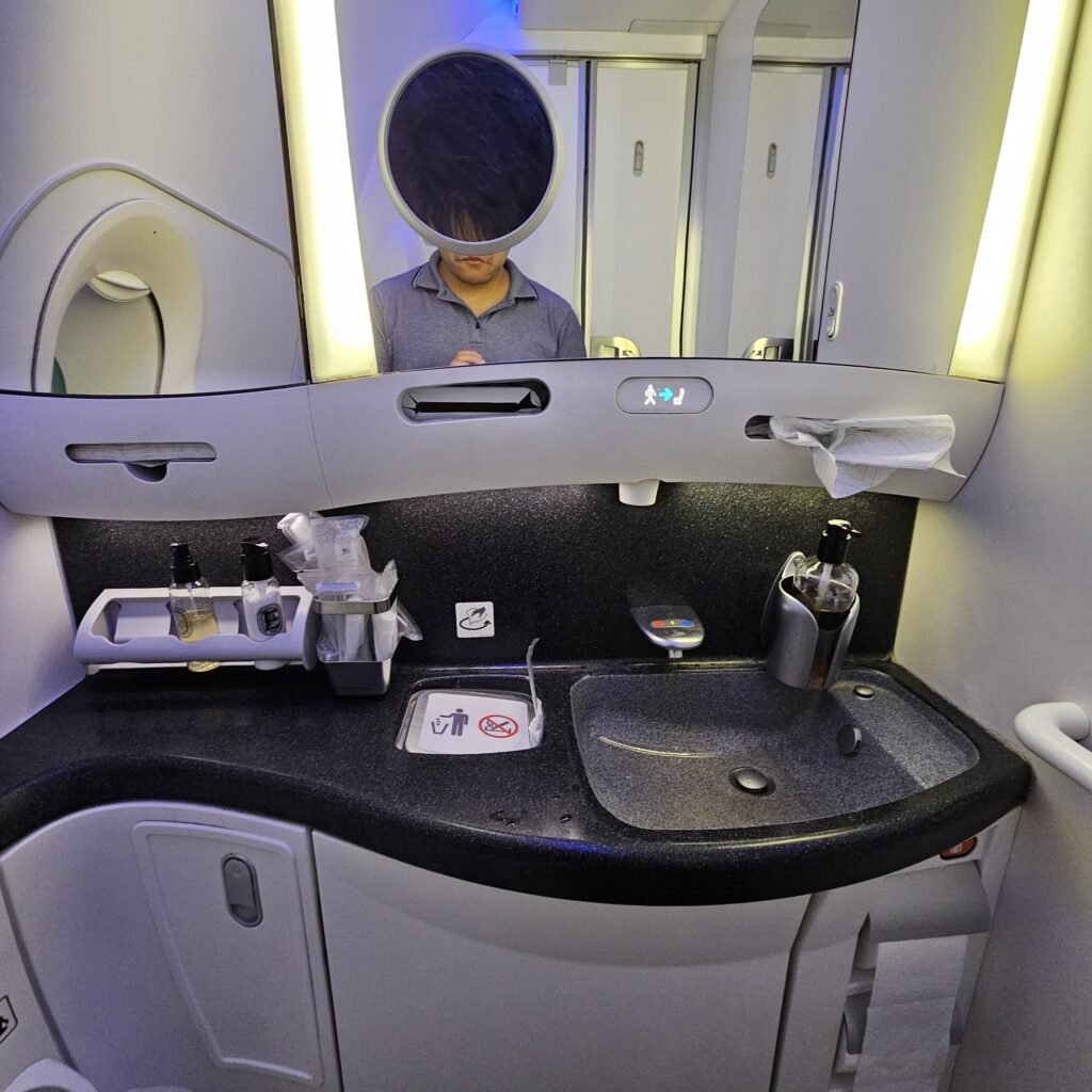 Qatar Airways Boeing 787-8 Business Class Lavatory