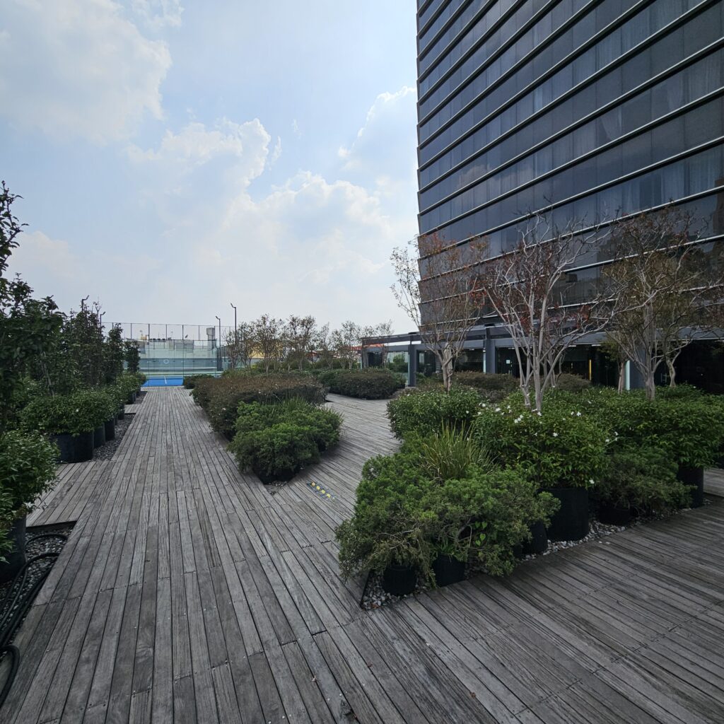 Hilton Mexico City Reforma Rooftop Terrace