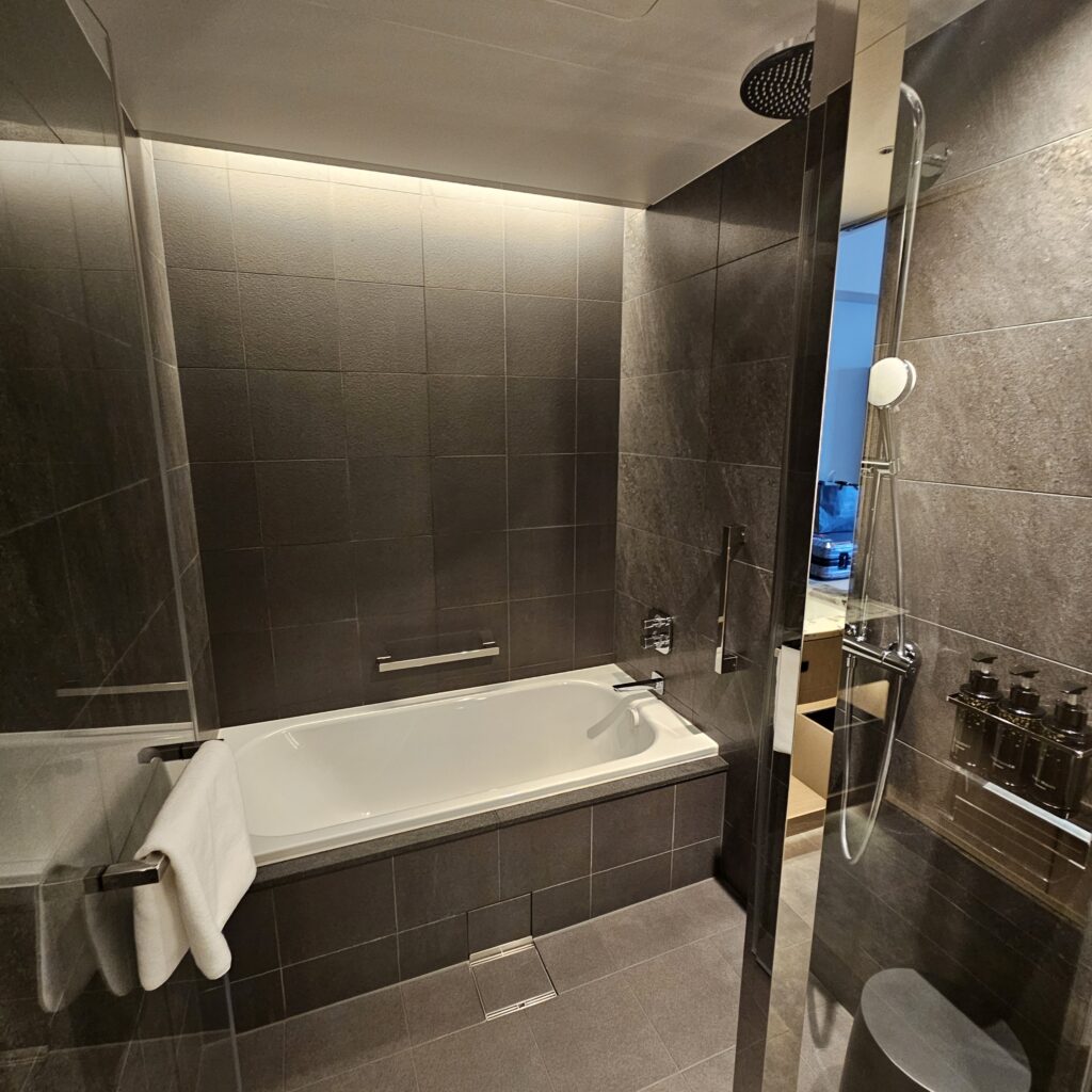 The Osaka Station Hotel, Autograph Collection Shower & Tub