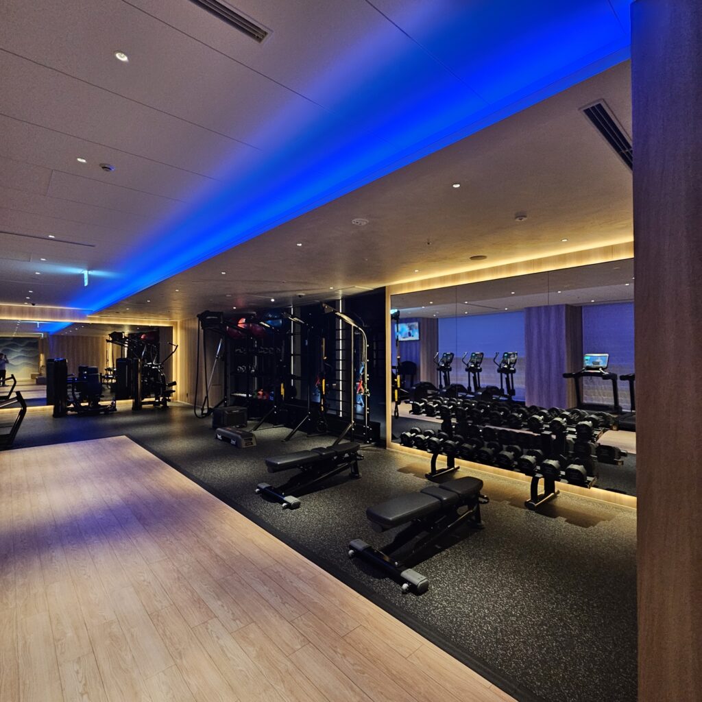 The Osaka Station Hotel, Autograph Collection Gym