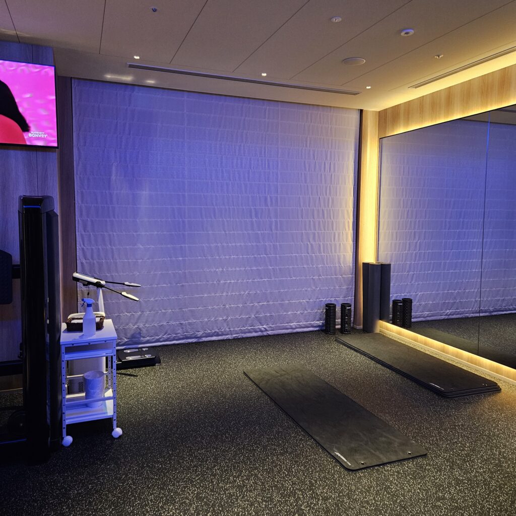 The Osaka Station Hotel, Autograph Collection Gym