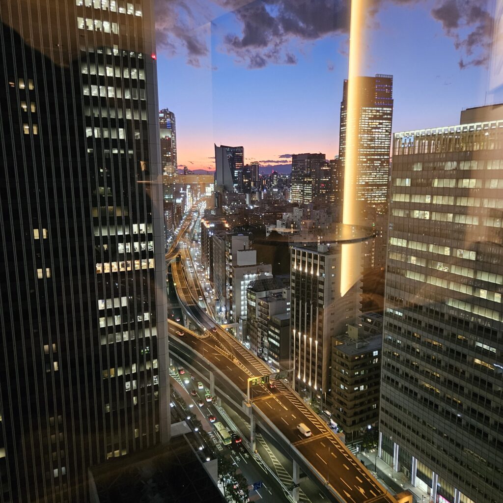 ANA InterContinental Tokyo Classic Room View