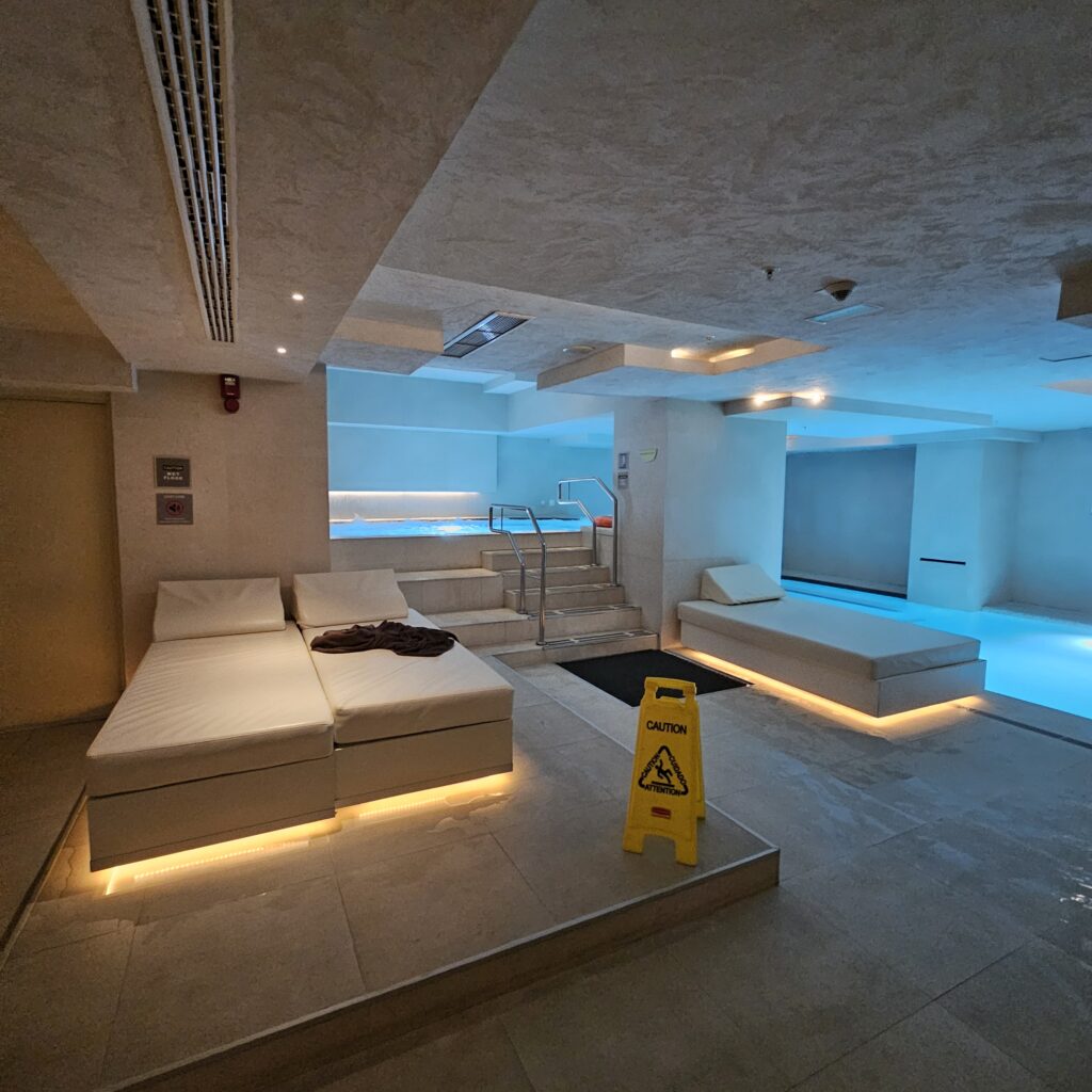 Skopje Marriott Pool Lounge Chairs