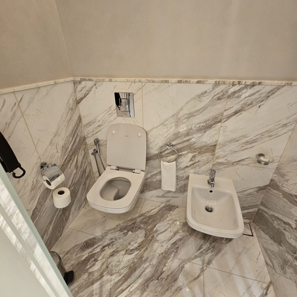Waldorf Astoria Dubai International Financial Centre Toilet
