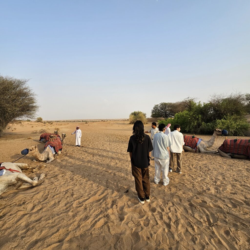 Al Maha Desert Resort Camel Ride
