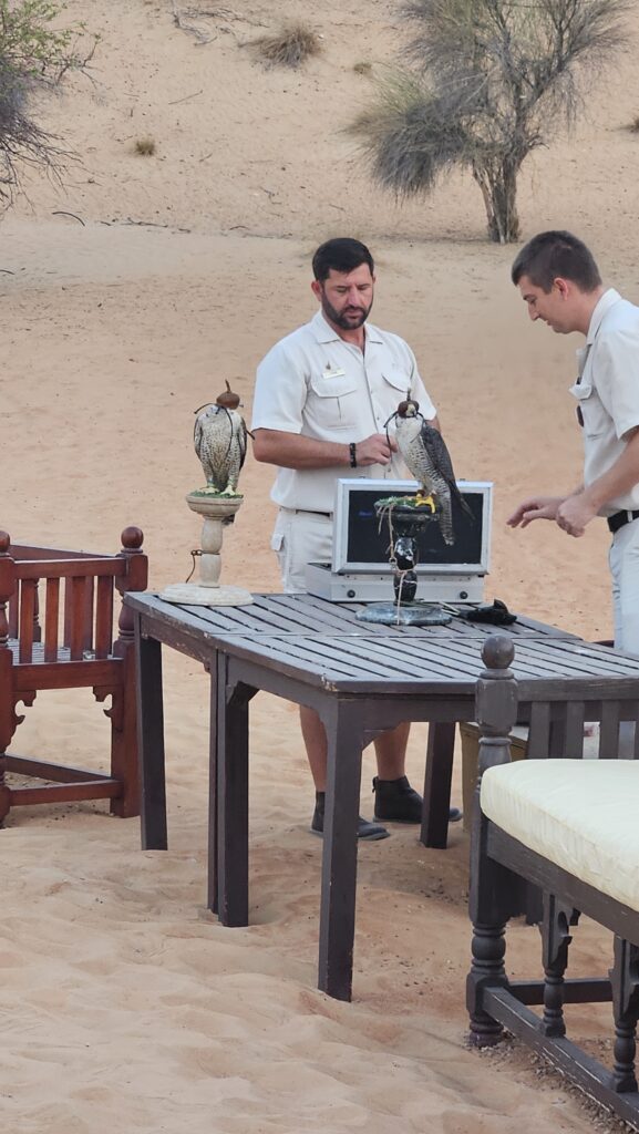 Al Maha Desert Resort Falconry