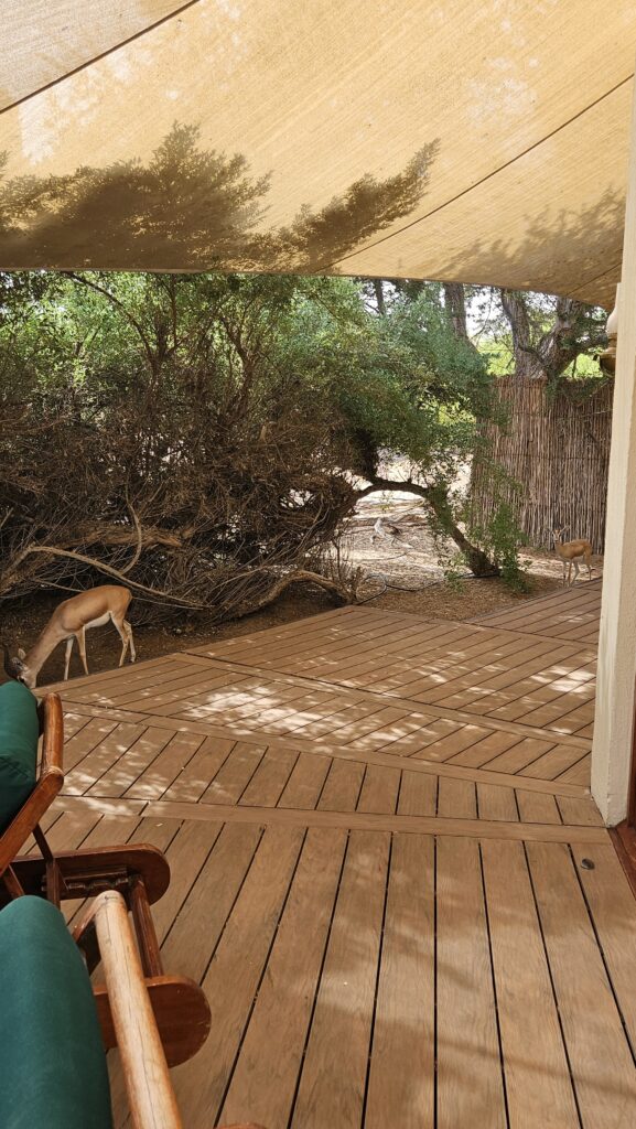 Al Maha Desert Resort Pool Area