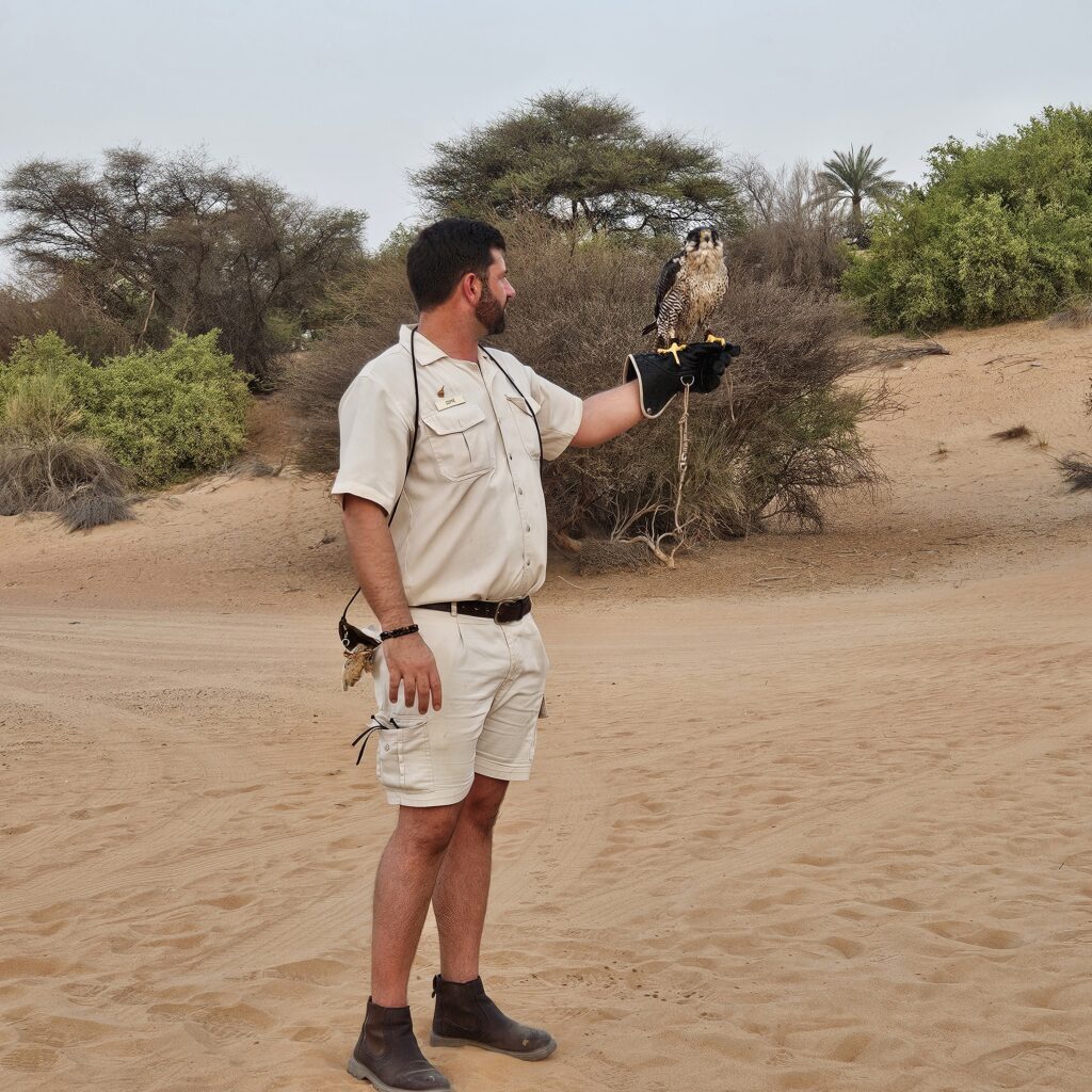 Al Maha Desert Resort Falconry