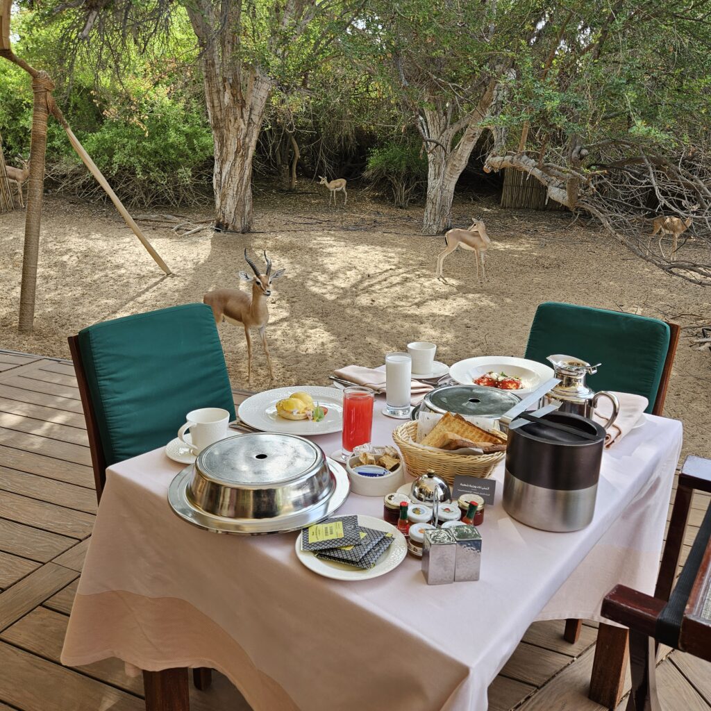 Al Maha Desert Resort In-Room Breakfast