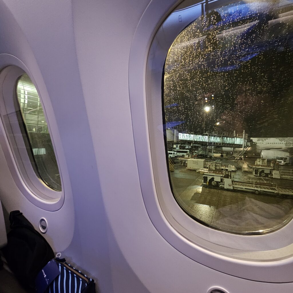 United Polaris Boeing 787-9 Window View